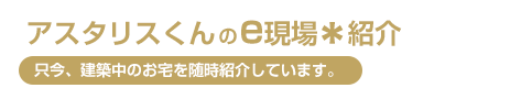 アスタリスくんのe現場＊紹介