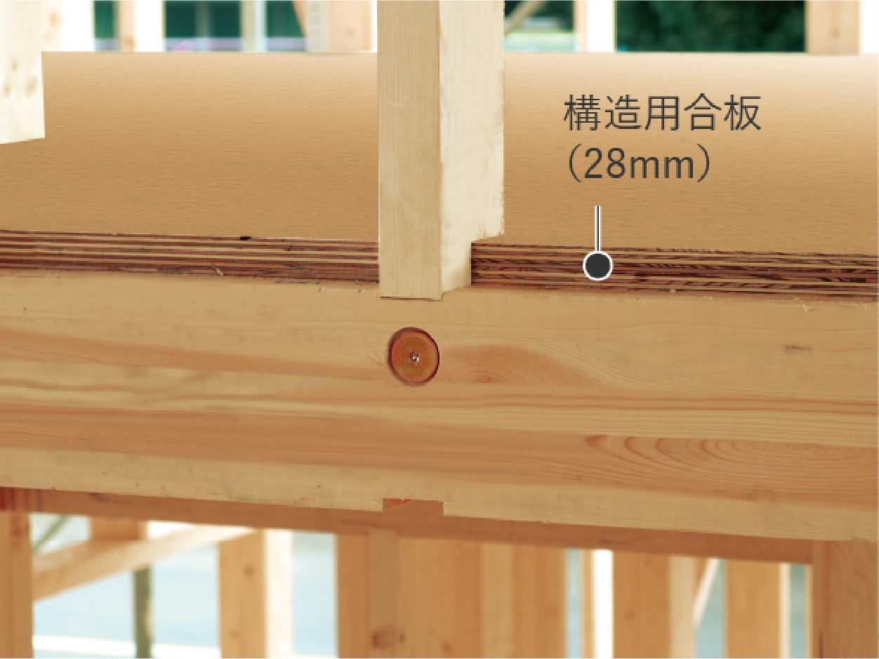 構造用合板